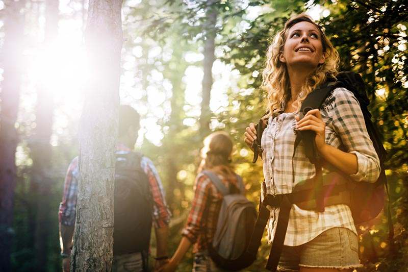 Group of people trekking in forest