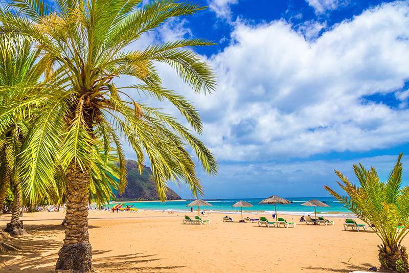 Palmen am Strand mit blauem Wasser