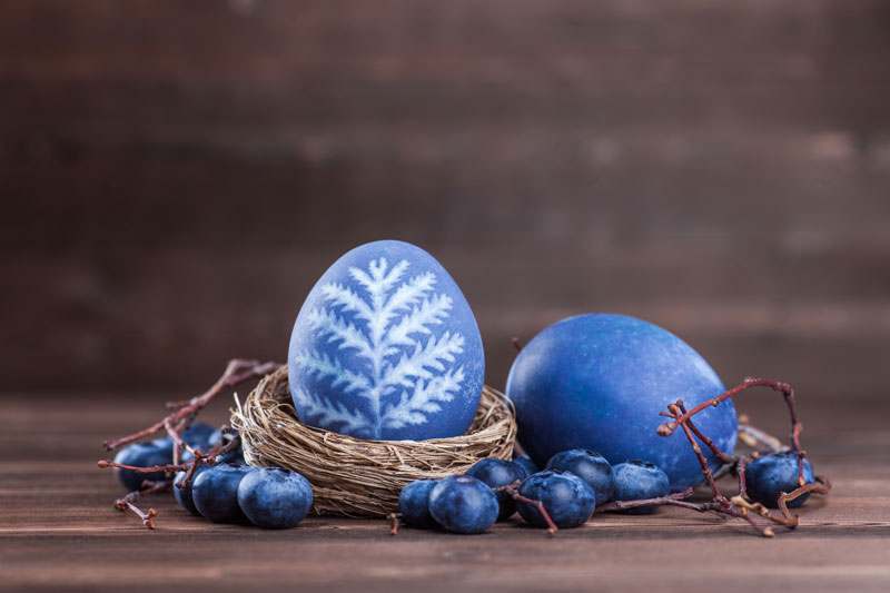 Eier färben mit Heidelbeeren, Blaubeeren