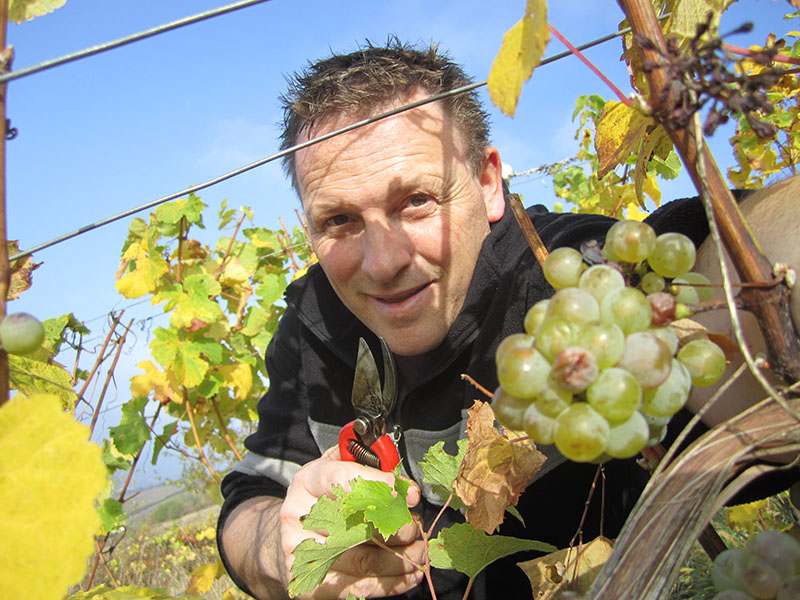 Walter Kleer in den Weinbergen