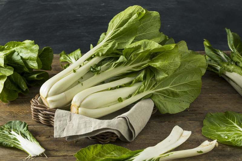 Pak Choi