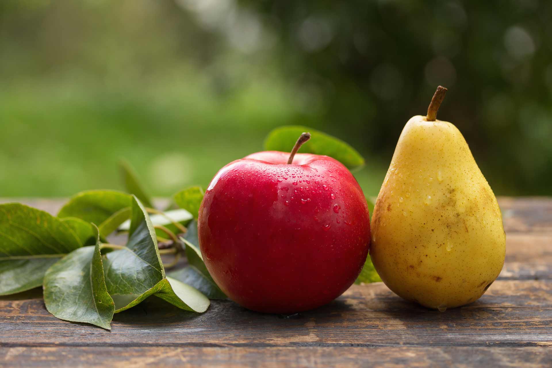 Äpfel mit Birnen vergleichen